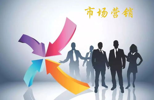 食品互聯網銷售在市場經濟中的營銷功能分析